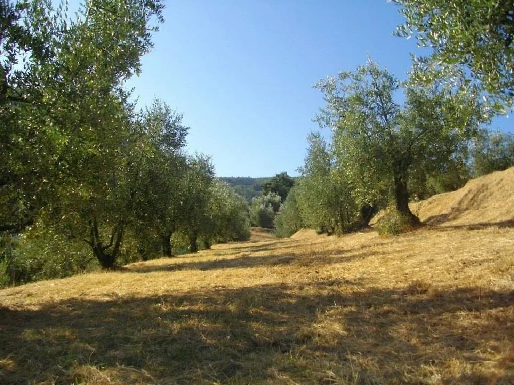 Agriturismo Terrarossa Pistoia Farm stay